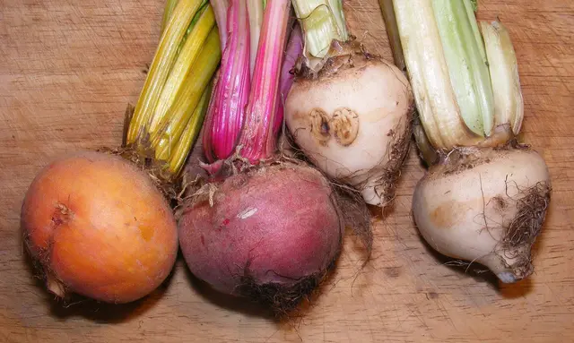 Yellow, red and white beetroot with their stalks