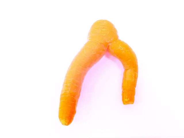 A forked carrot with two legs on a white background