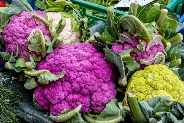 White, green, orange and purple cauliflower heads on a market stall