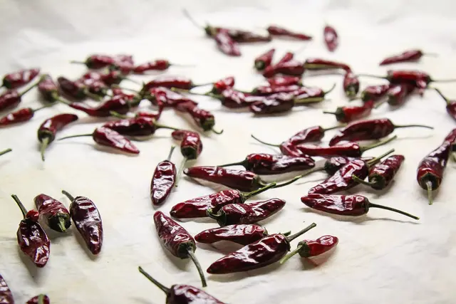 Home-grown red chillies laid out to dry