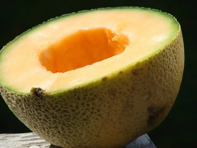 Half a ripe cantaloupe melon with orange flesh and netted rind