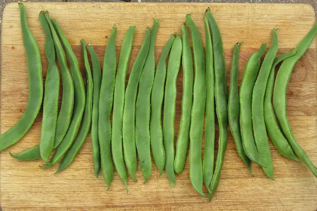 A row of freshly picked runner bean pods on a wooden board