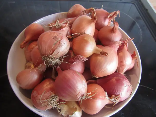 A bowl of freshly harvested home-grown shallots