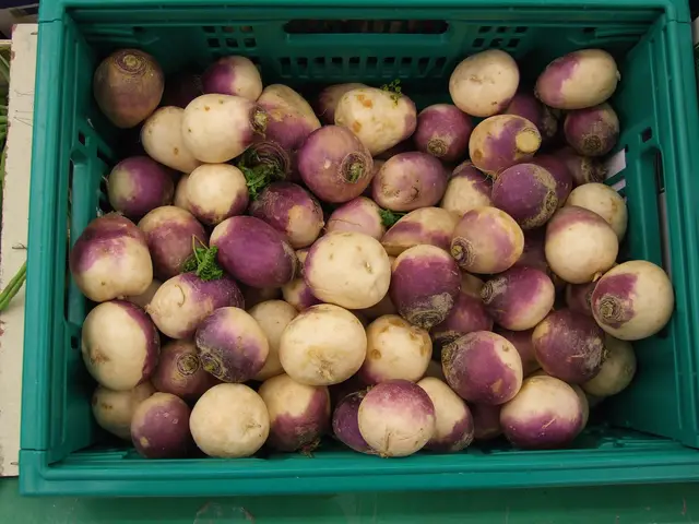 A green crate full of white turnips with violet shoulders